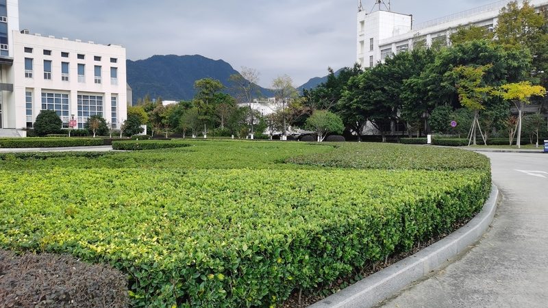 办公楼屋顶绿化：打造空中绿洲的五大关键**