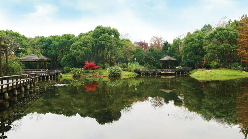 屋顶绿化设计规范优缺点分析